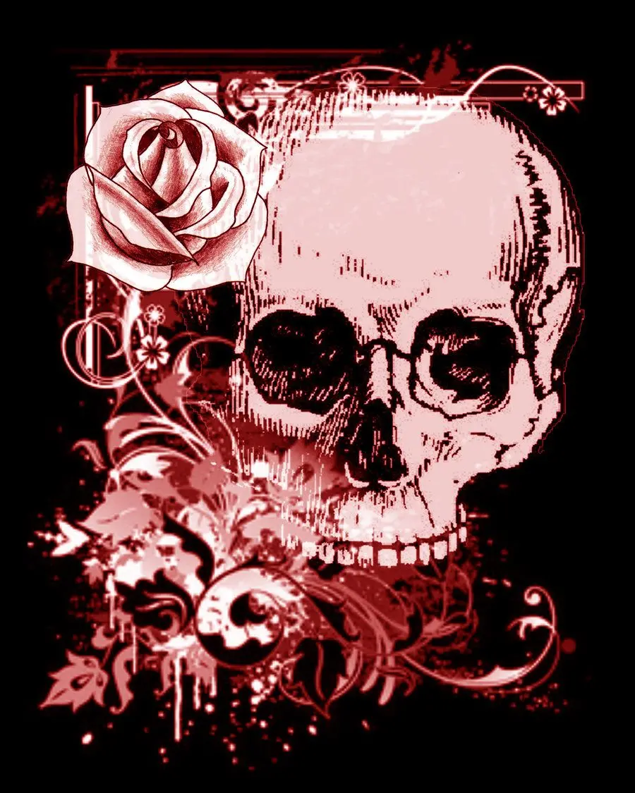 Unique Stock Photo of Skull and Flower in Fantastic Quality