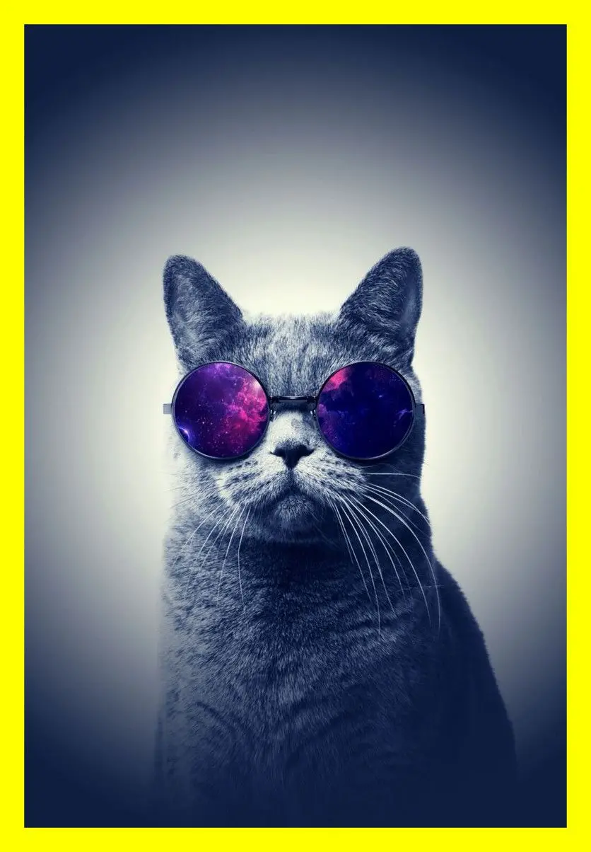 Gorgeous poster of a gray cat with purple smokey glasses