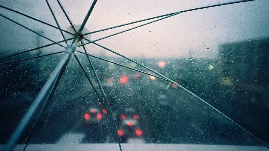 Download artistic photo of rainy weather from the angle behind an umbrella for profile 