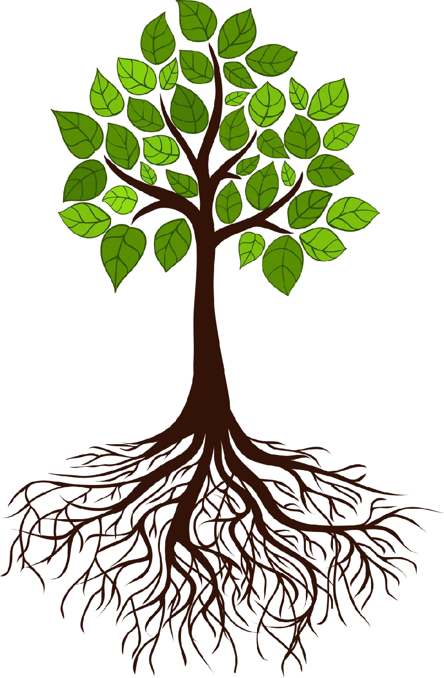 Beautiful and Lovely Image with Tree and Roots Design on White Background