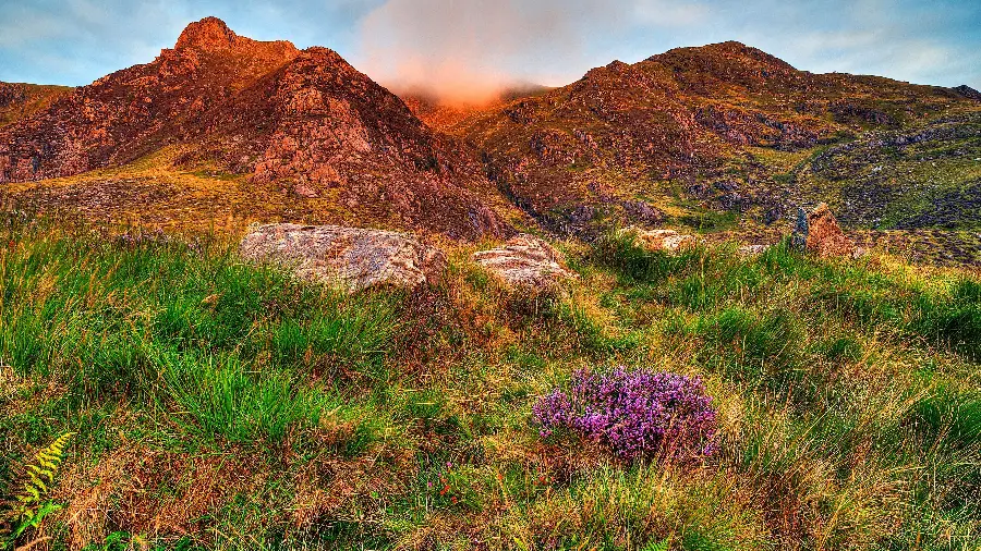 Popular 8K nature stock photo suitable for home system background