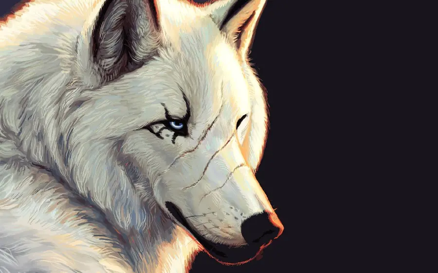 Digital Photo of a White and Wounded Wolf on a Black Background