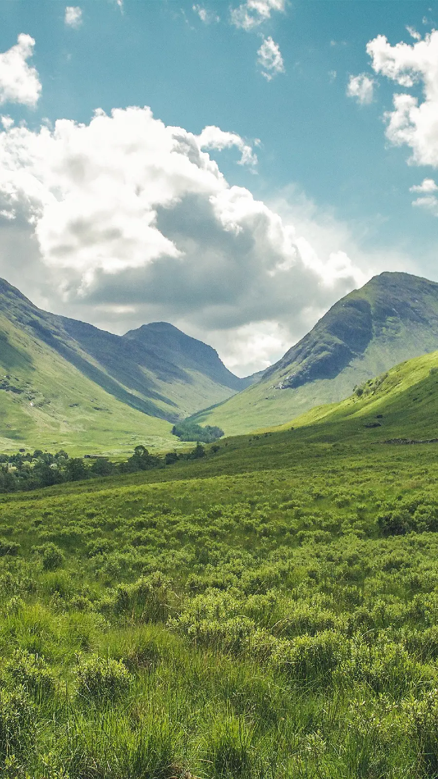 Free download profile picture of lush landscape under blue sky 