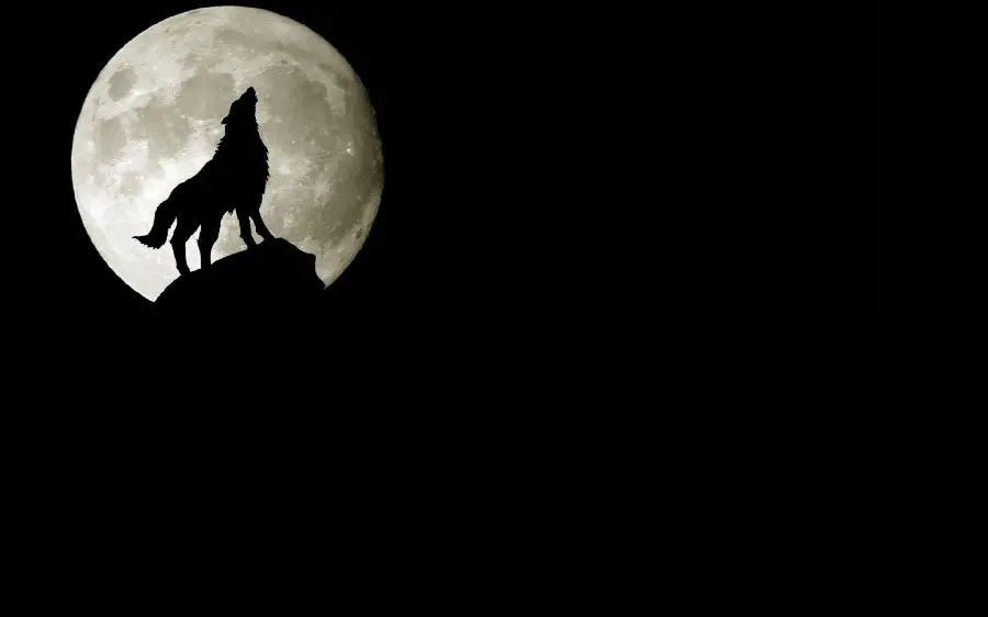 Download the masterpiece wallpaper of the wolf and the moon for Windows 11