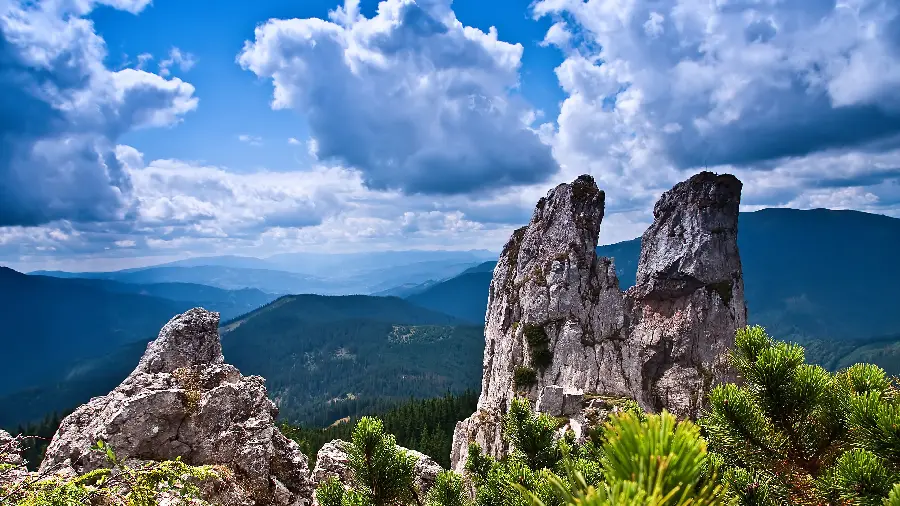 Beautiful view of a lush landscape with quality 8k for profile 