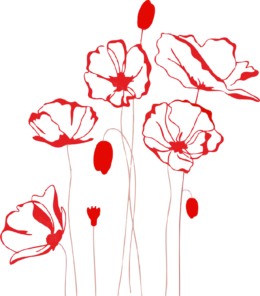 Download Special png of Flowers Bundled Red Poppy 