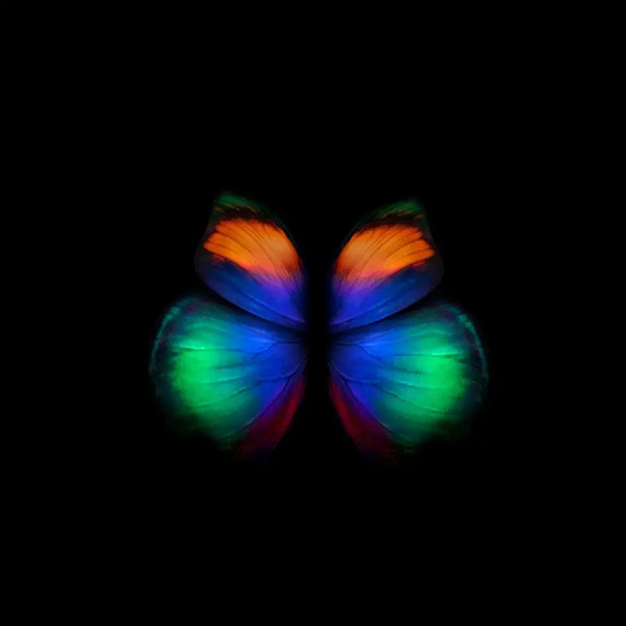 A pleasant neon photo with a color theme for the Z Fold 4 5G background
