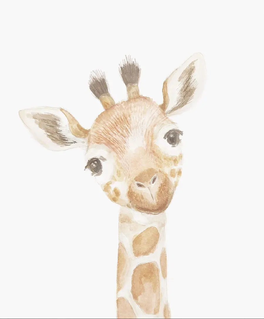 A lovely pastel drawing of a cute little giraffe for your profile