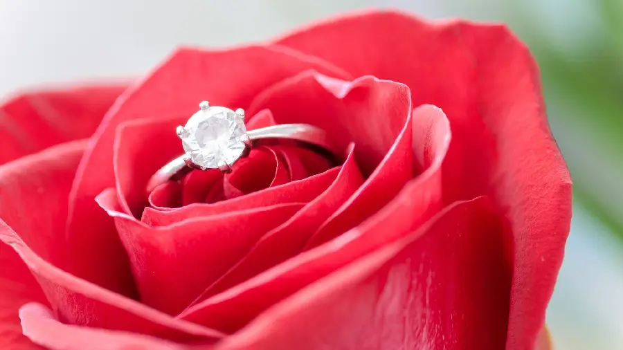 Download Romantic Wallpaper of a Diamond Ring Among Red Roses in Top Quality