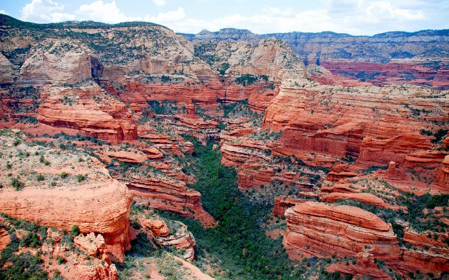 Stock Photo Of Arizona Desert Vegetation Among The Rocks