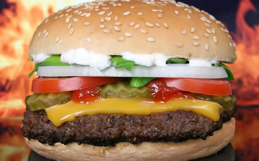 Very High Quality Image of Delicious Hamburger for Graphic Work