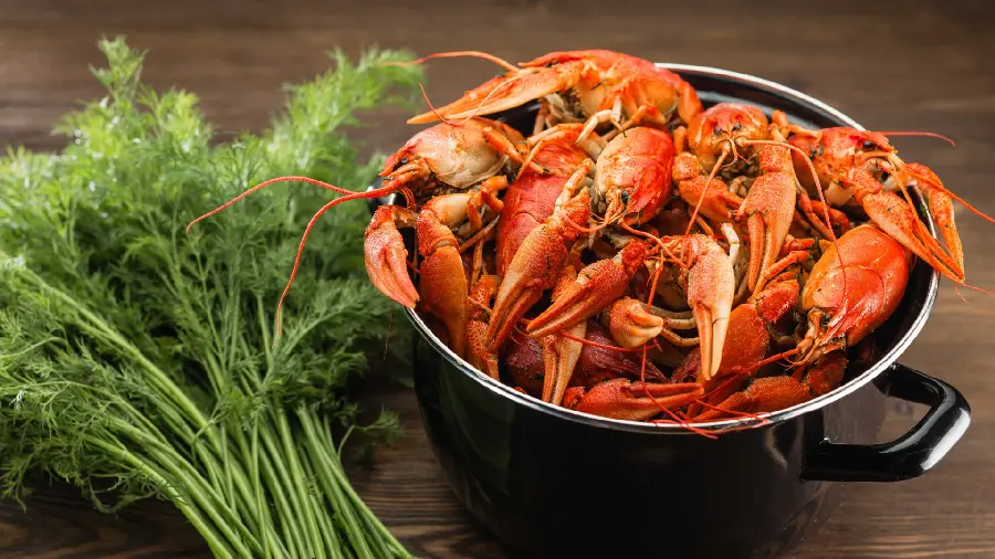 The most luxurious Mac background with a red crab design