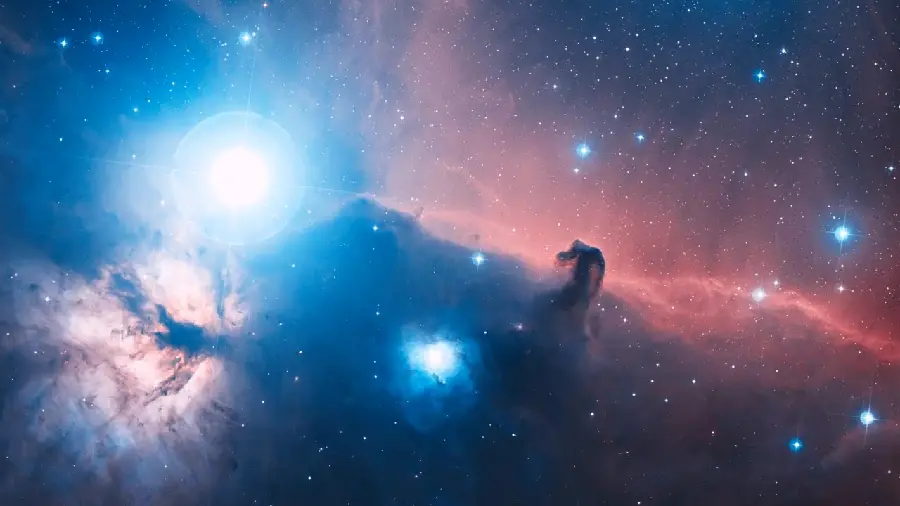 The most special background image of the two-color Horsehead Nebula with pink and light blue
