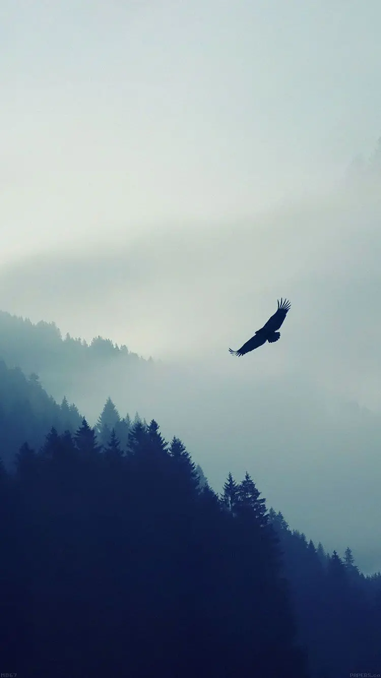 Download cool and magnificent poster of an eagle flying over the dense forests for iPhone