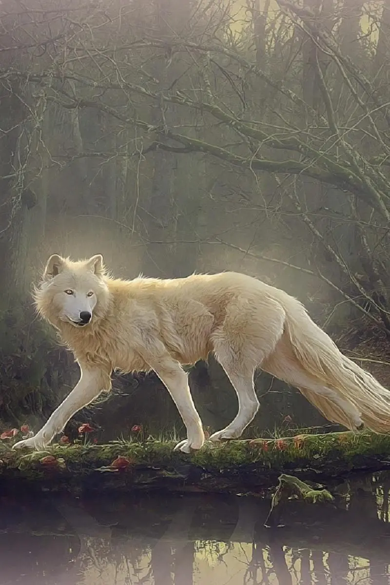 A spectacular image of a white wolf in the forest in high quality 