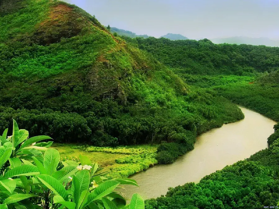 Download a cool background image of the mountains and green trees along the Amazon River