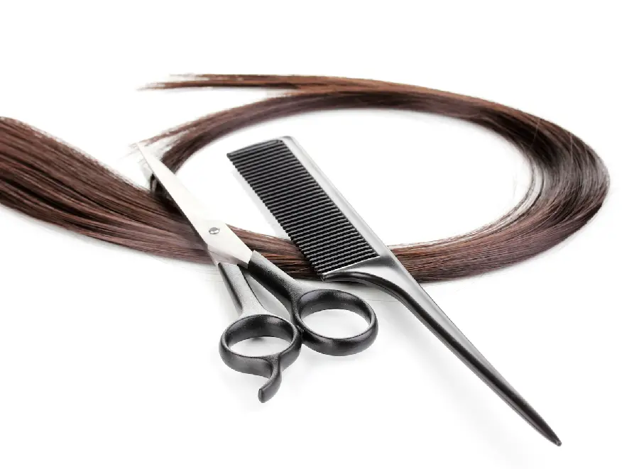 Download Masterpiece Photo of Hair Cutting Tools with White Background 2022