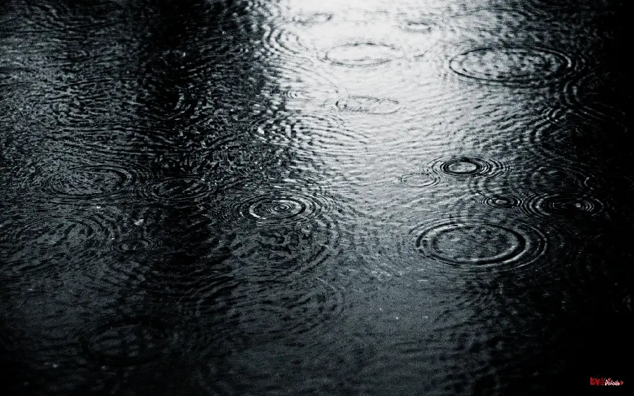 Special View of Sad Rainy Weather with Super Quality 