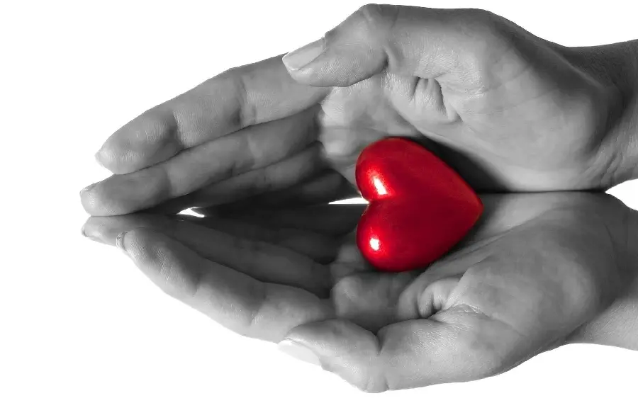 A masterpiece and beautiful picture of a red heart in a hand for profiles and posts