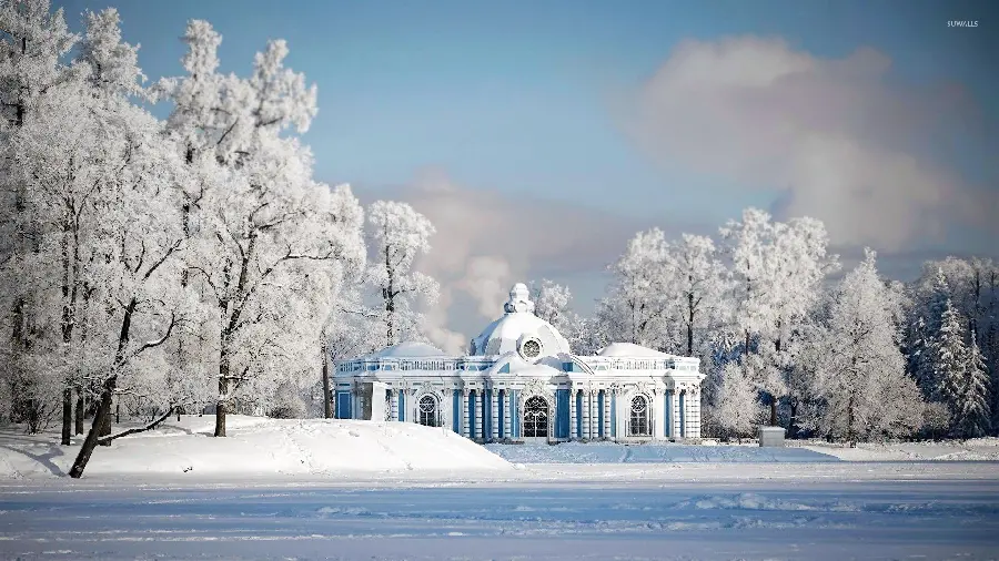 St. Petersburg Winter Palaces among the trees