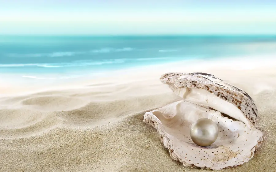 Shell with a large pearl inside on the beach suitable for wallpaper