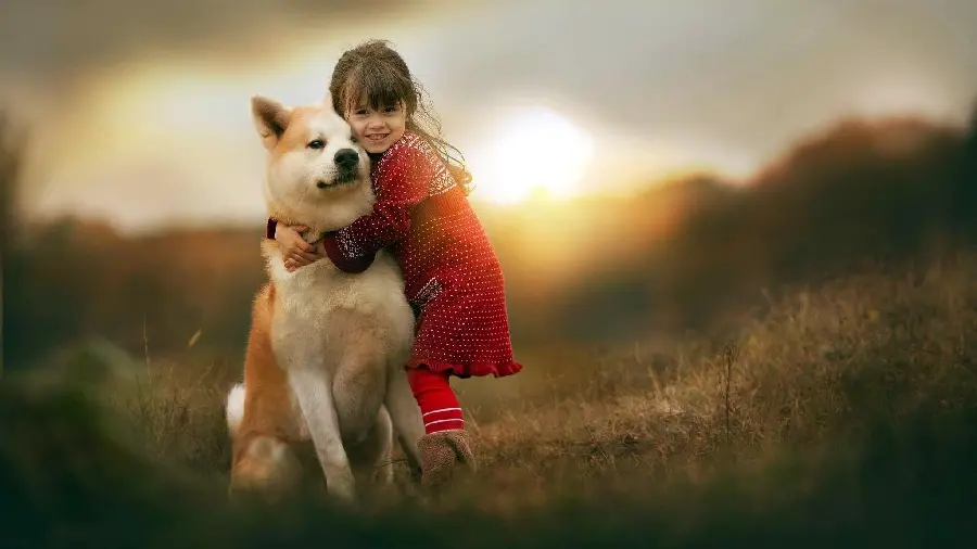 A lovely wallpaper with a beautiful friendship design of a little girl and a big dog for your computer