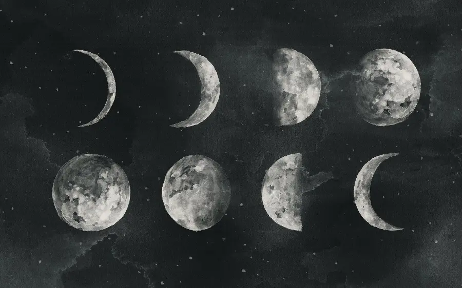 The Most Beautiful Black and White Wallpaper with a Special Quality Moonlight Evolution Design