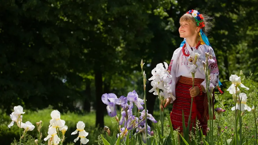 The latest photo of a foreign little girl in a lush and lush plain 8K
