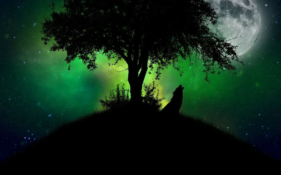 Anime Picture of a Wolf Howling in Front of Us and Next to a Tree and a Green Sky