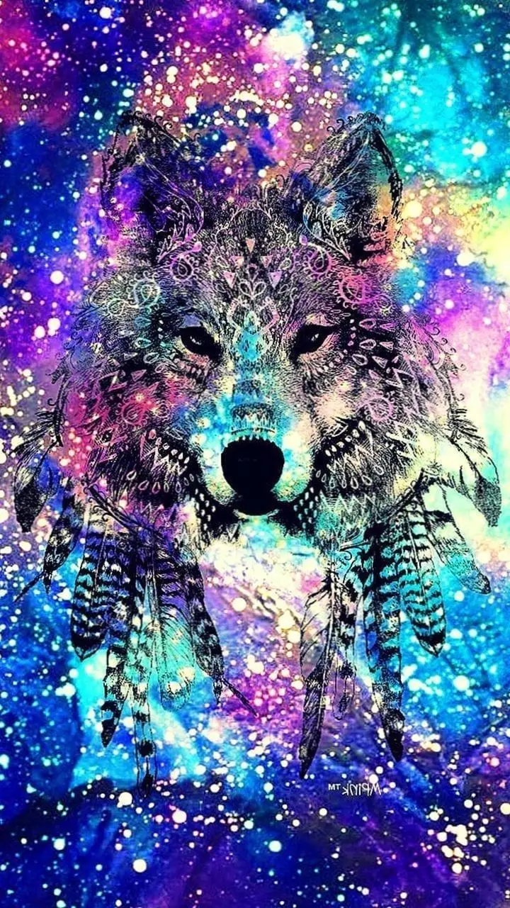Download Galaxy and Colorful Background Photo with Wolf Design