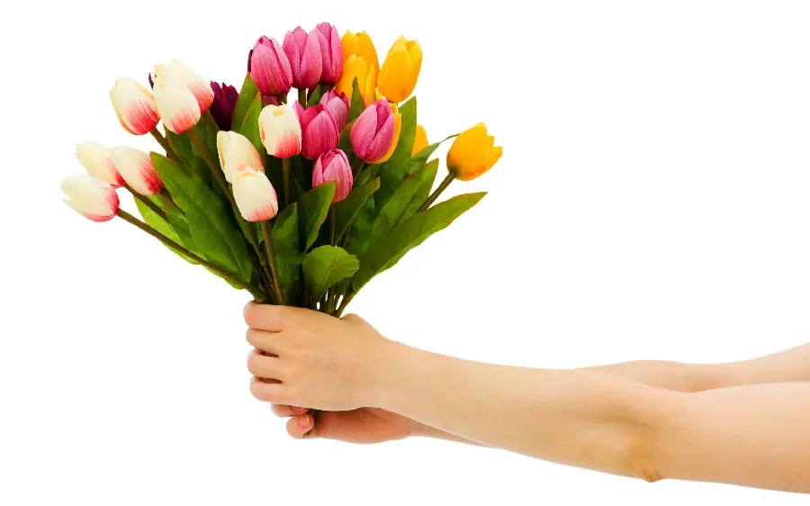 Colorful tulip bouquet image for background