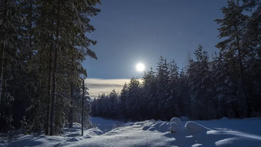 Stunning Wallpaper of Sparkling Snowy Nature for Laptop 2022