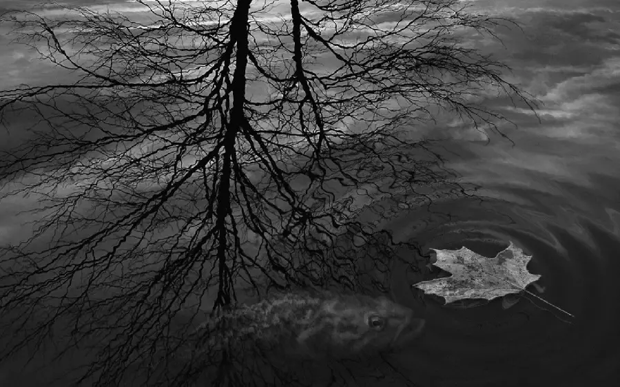 Black and white and scary nature image for telegram profile