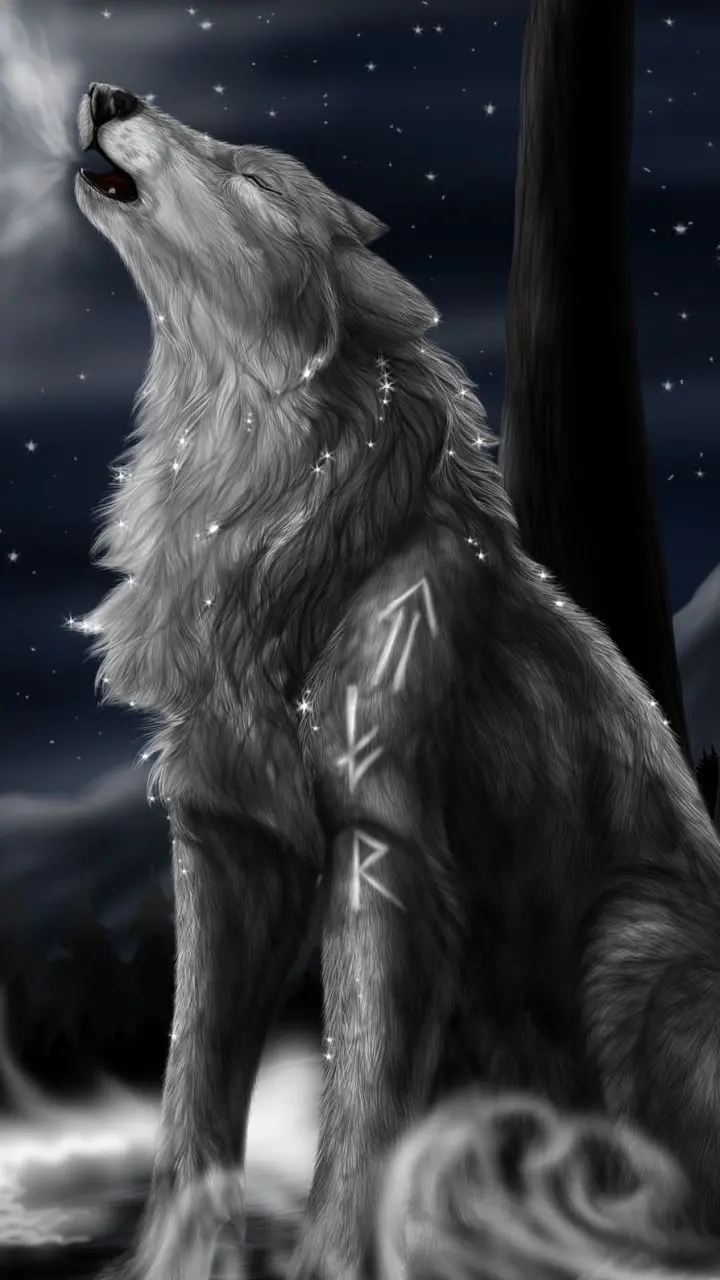 The latest wolf profile picture with the best quality