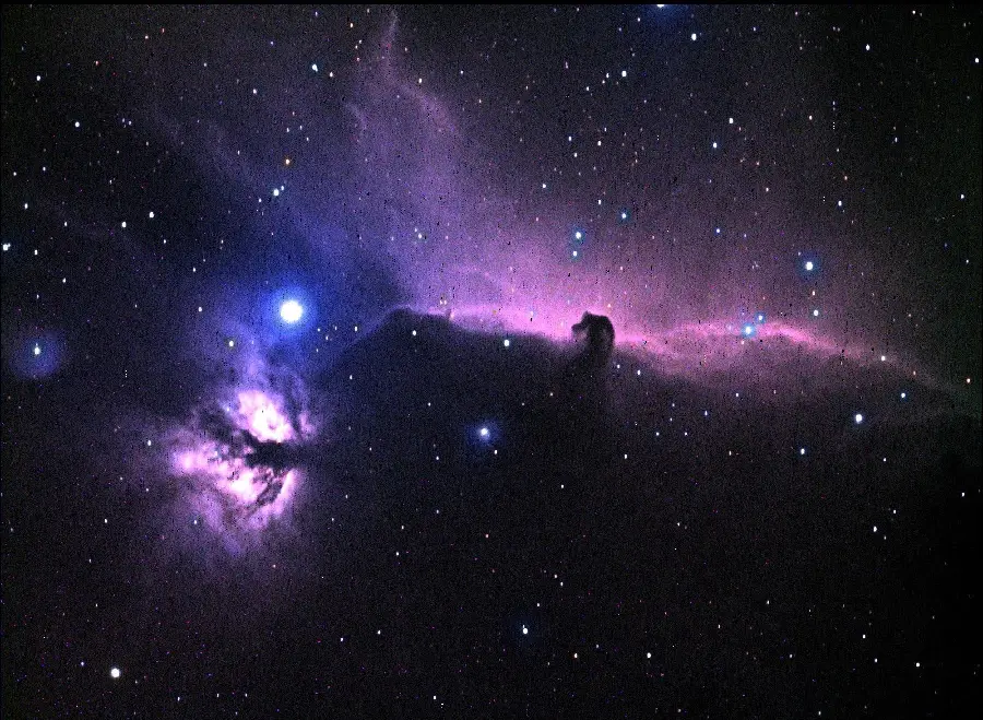 High quality black horsehead nebula photo and purple color