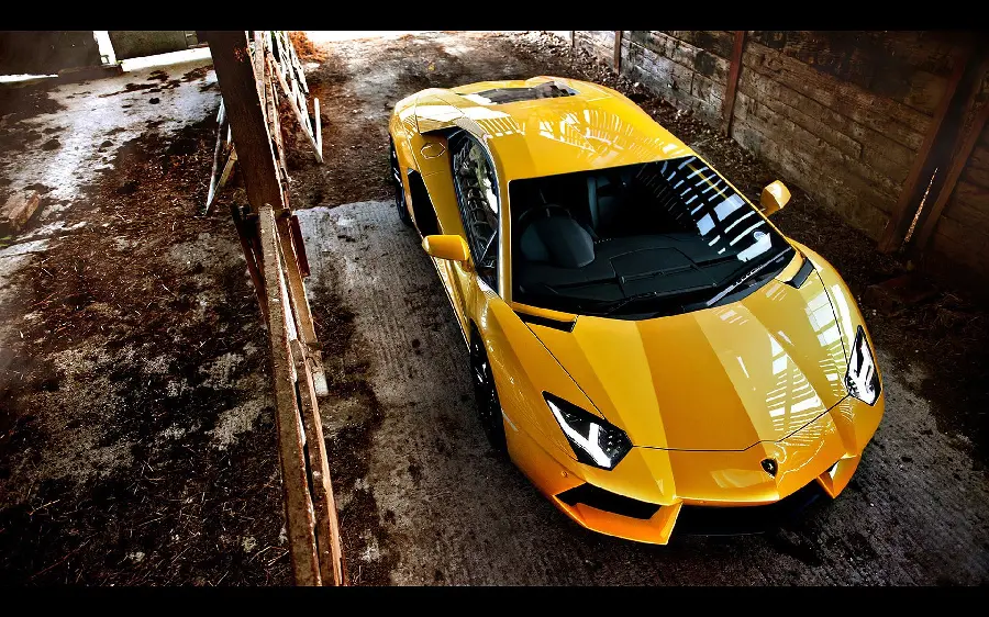 The latest stylish yellow Lamborghini image for profile 2022