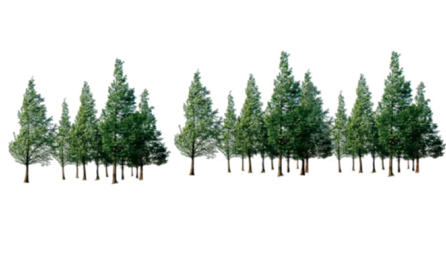 Download PNG images of trees suitable for use in Photoshop