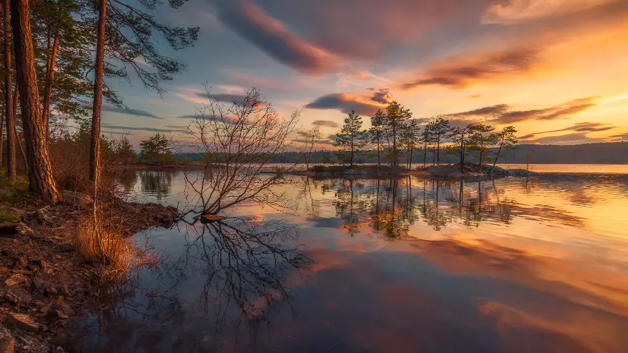 Download background image and background of a clean and calm river with young trees next to it for those who like it special