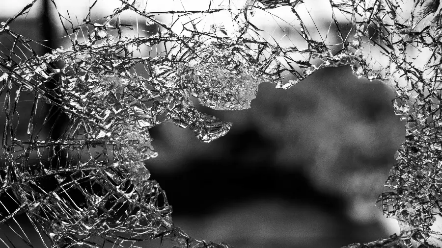 Black and white spider web freezing stock photo HD quality