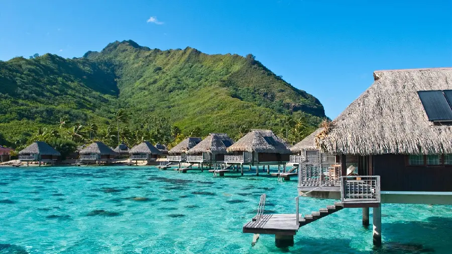 Download the most visited vector of the day of the endless ocean and small wooden huts and the mountains with vegetation in pure quality