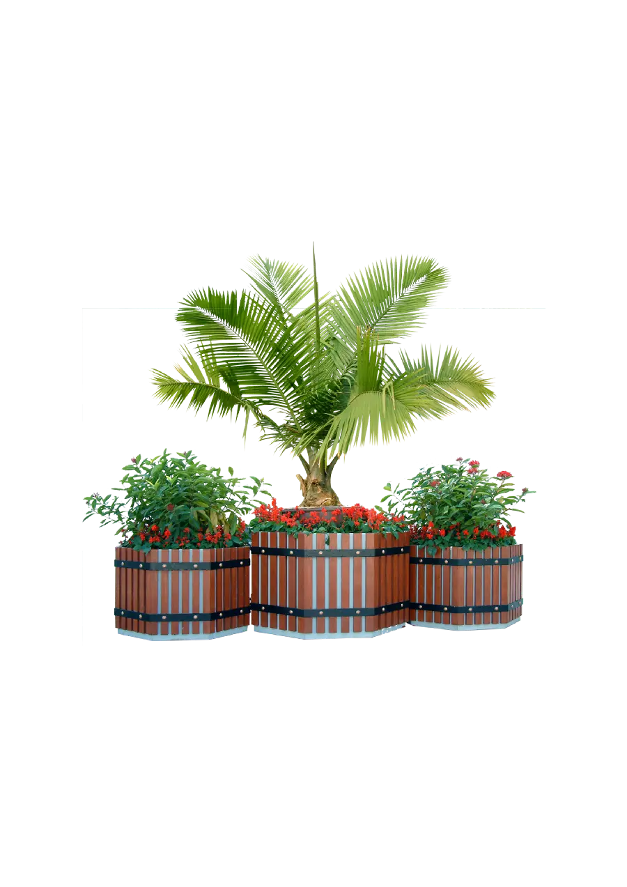 A teleported image of a young tree in the popular PNG format