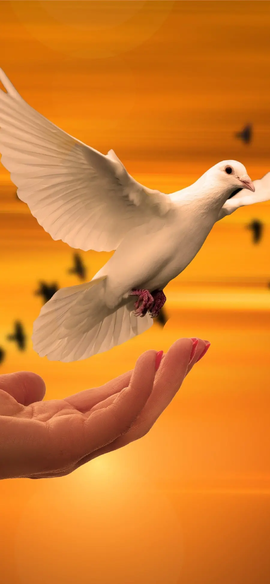 Most viewed poster of a white dove released from a hand with red nail polish