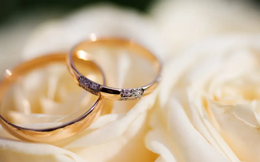Download matte background of bride and groom's rings on white roses in good quality