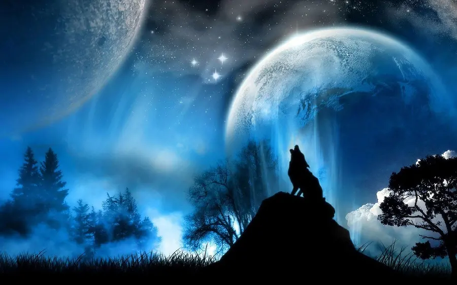 The most special digital photo of a wolf howling in the moon for your profile 
