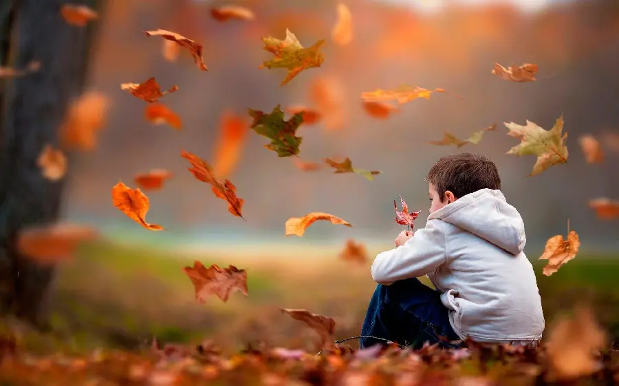 Sad boy in the autumn forest in a fantastic artistic frame