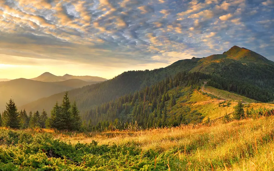 Very beautiful wallpaper of nature and a photo of a mountain landscape and green and yellow fields