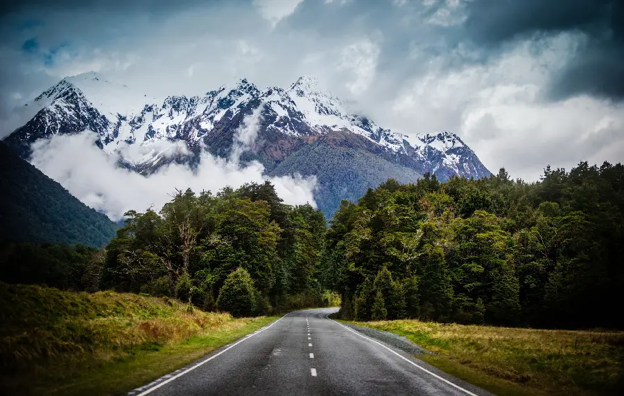 Beautiful and eye-catching road background in the heart of New Zealand nature