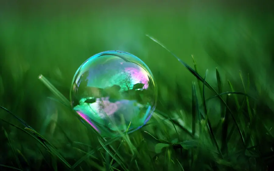 Bubble Profile Photo in Green Nature for Telegram and WhatsApp 