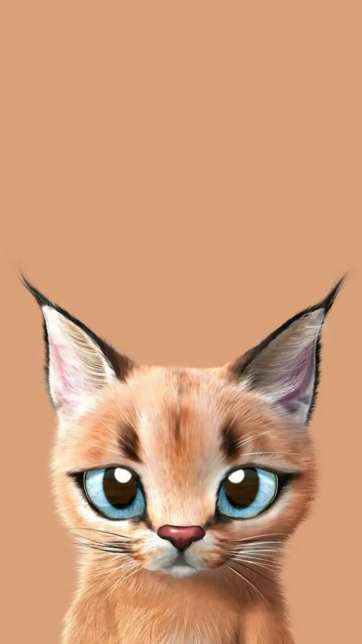 Super Quality Cartoon Lynx Cat Photo 