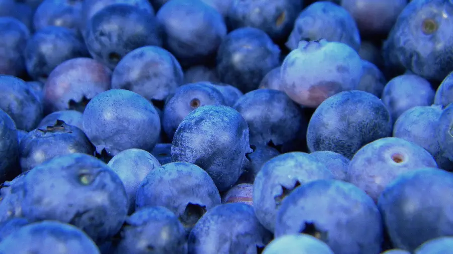 Ultra HD Wallpaper with a Beautiful Blue Blueberry Design